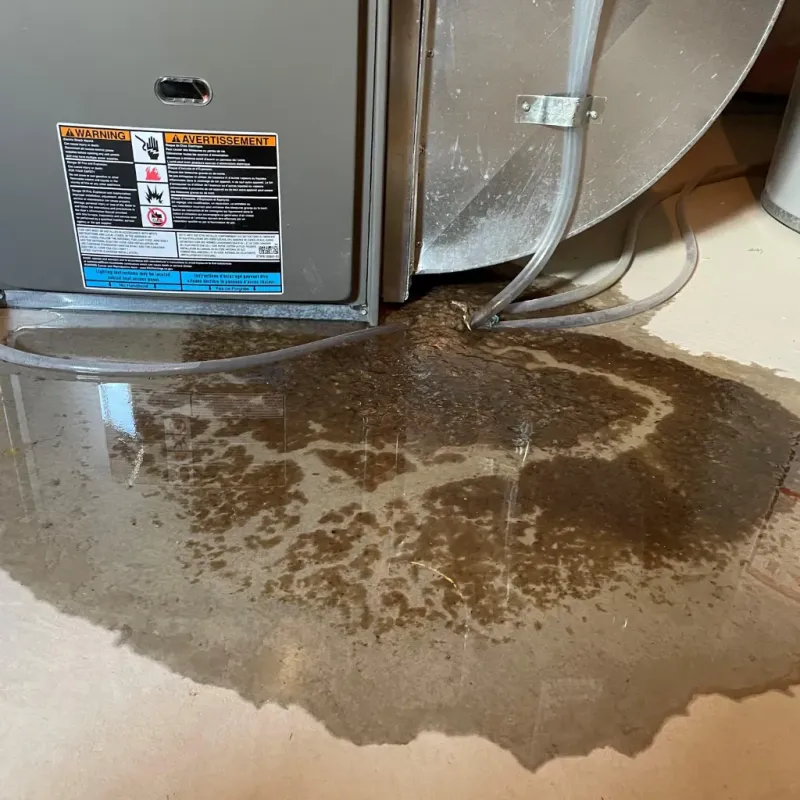 Appliance Leak Cleanup in Milan, IN